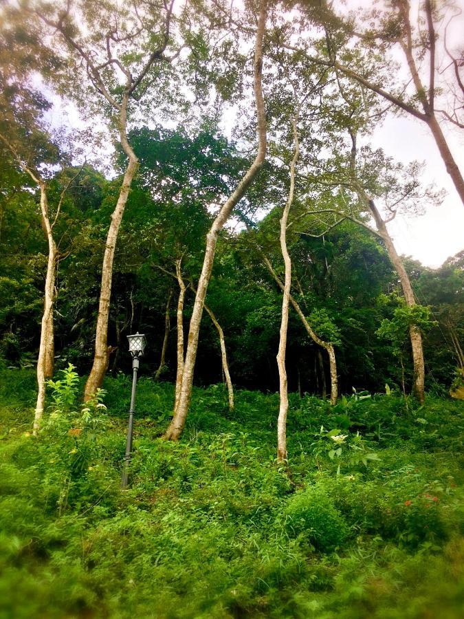 Wan Ruey Resort Hengshan Ngoại thất bức ảnh