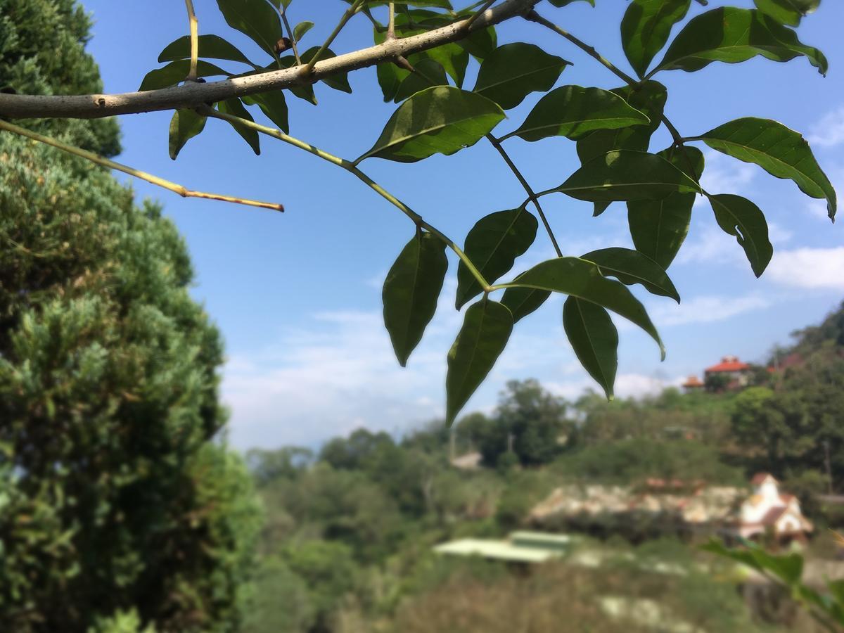Wan Ruey Resort Hengshan Ngoại thất bức ảnh